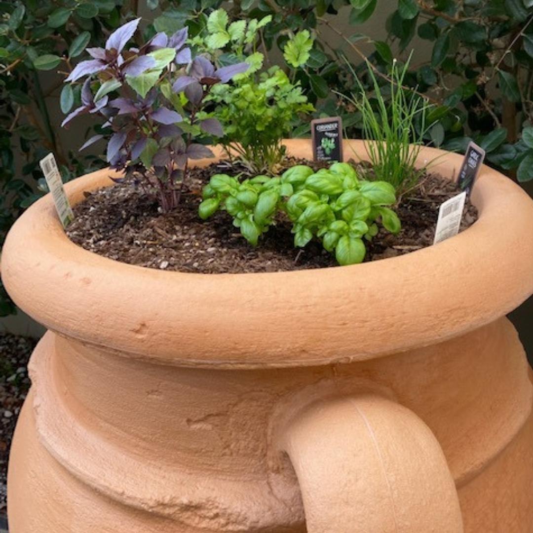 Antique Amphora Rainwater Tank 360L - Terracotta