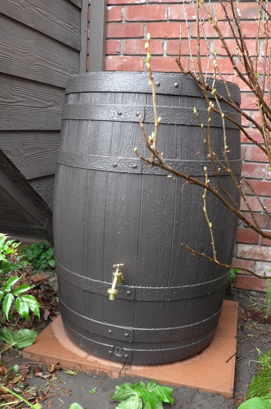 Why collect rainwater?