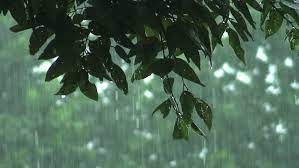 Three Waters Reform Programme and Rainwater Harvesting