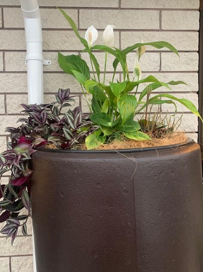 Classic 2in1 Rainwater Tank 300L - Mocca